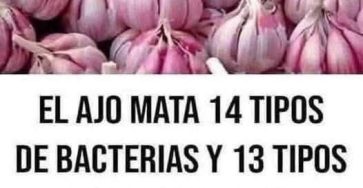 641692364 1472020788052262 8598363477696644628 n