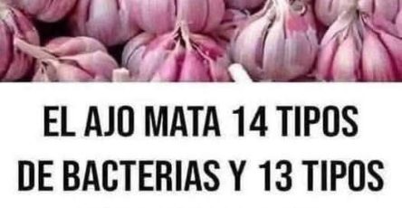 641692364 1472020788052262 8598363477696644628 n