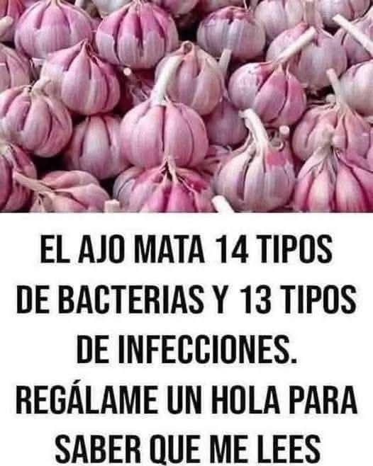 641692364 1472020788052262 8598363477696644628 n