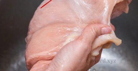 642736002 1482248386804032 4062775239380303763 n