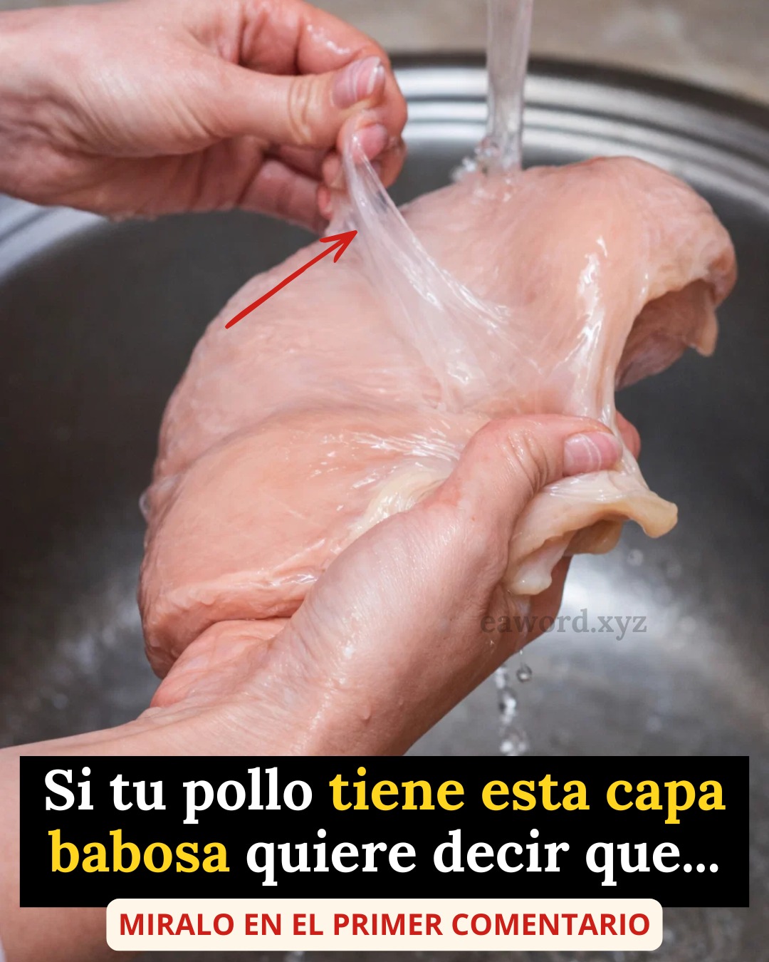 642736002 1482248386804032 4062775239380303763 n