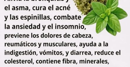 642755104 1470238288230512 6433532077610486073 n