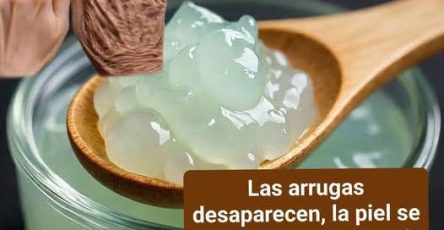 643329526 122194318424544623 7466442334920249528 n