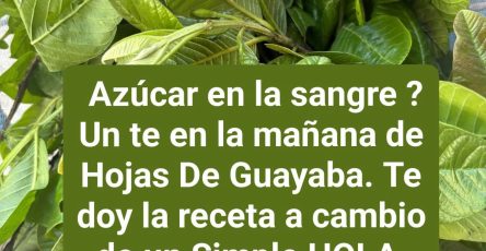 643459702 122295823442202596 2063522594646463198 n