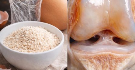 643741948 1486370543049650 7950444194733520250 n