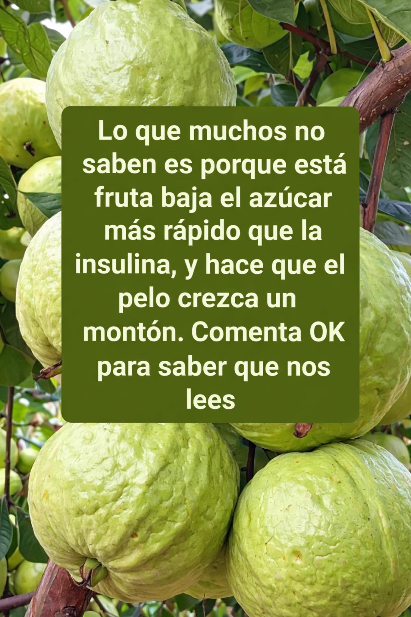 644278502 1487456642941040 5706992183320218156 n