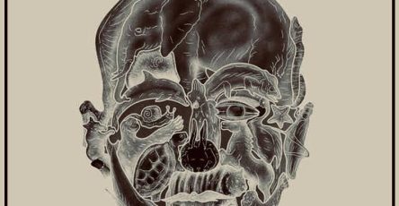 644355873 1466244631824073 8674302481240842836 n