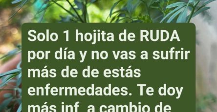 644468574 1486852983001406 4884543268135890275 n