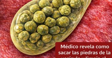 644939322 1491365205883517 4568724738775931862 n