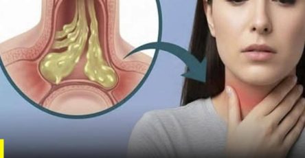 645281294 931080549301625 3174668094789103454 n