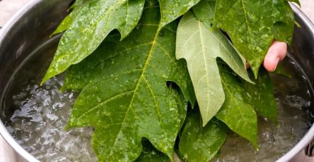 645644630 1491324482554256 6658229866191377192 n