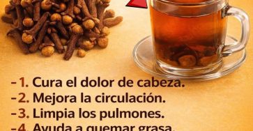 645652507 1476070847647256 2590534516977760309 n