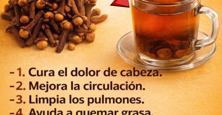 645652507 1476070847647256 2590534516977760309 n