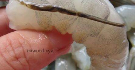 646372231 1483365530025651 2831692115265072296 n