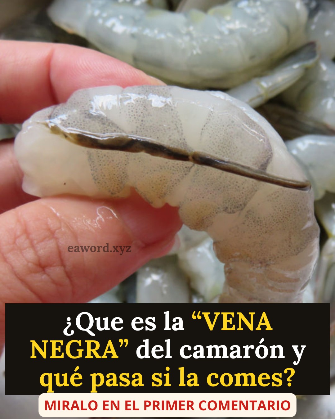 646372231 1483365530025651 2831692115265072296 n