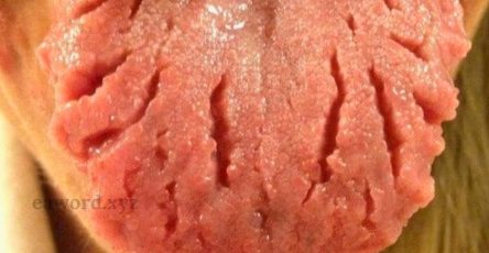 646390875 1483373326691538 6552903593920507952 n