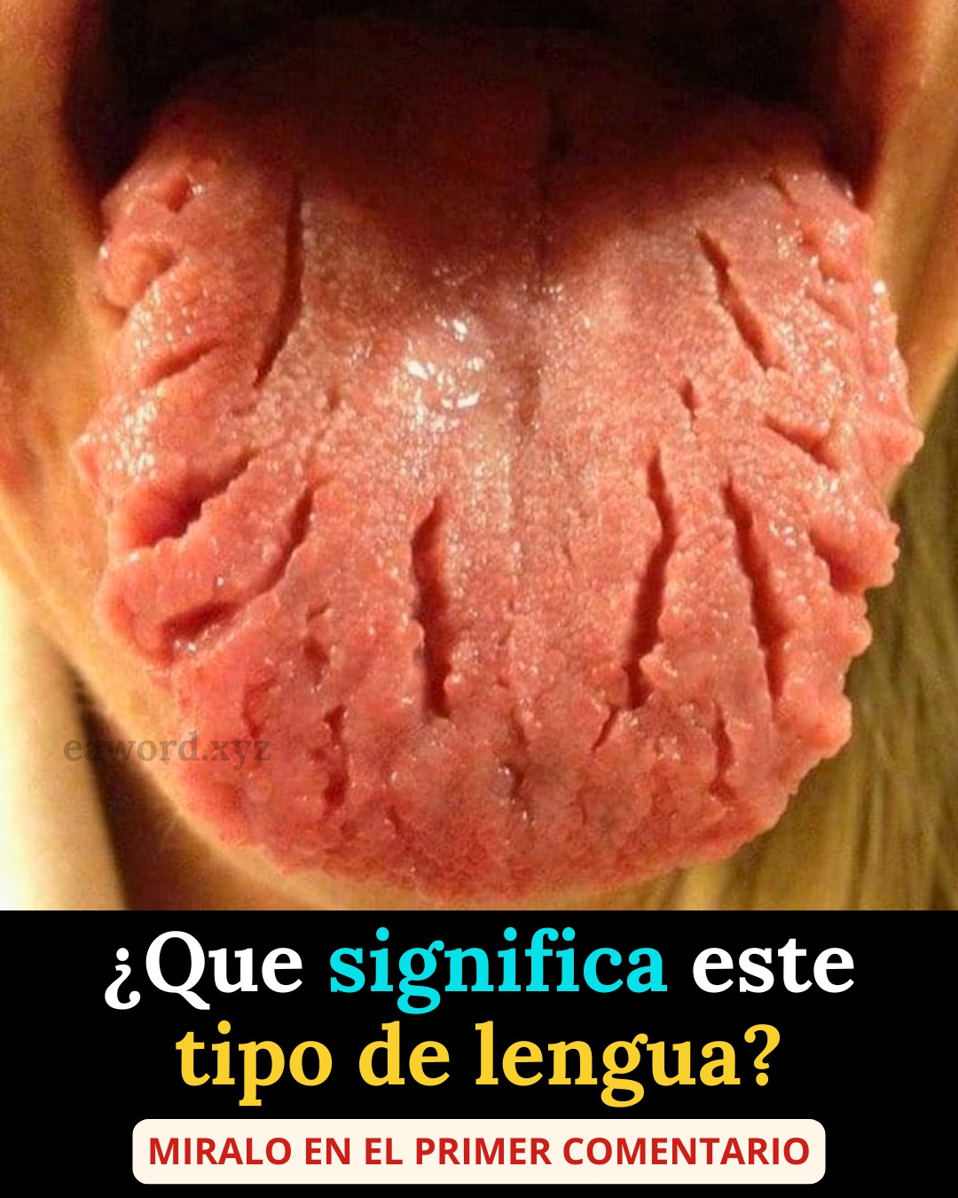 646390875 1483373326691538 6552903593920507952 n