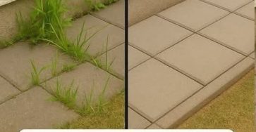 646499815 1476225974298410 3344101196606058991 n