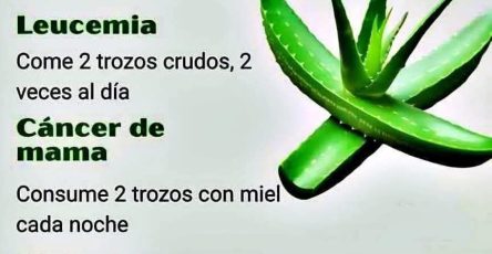 646872930 1474927564428251 2733722365044491269 n