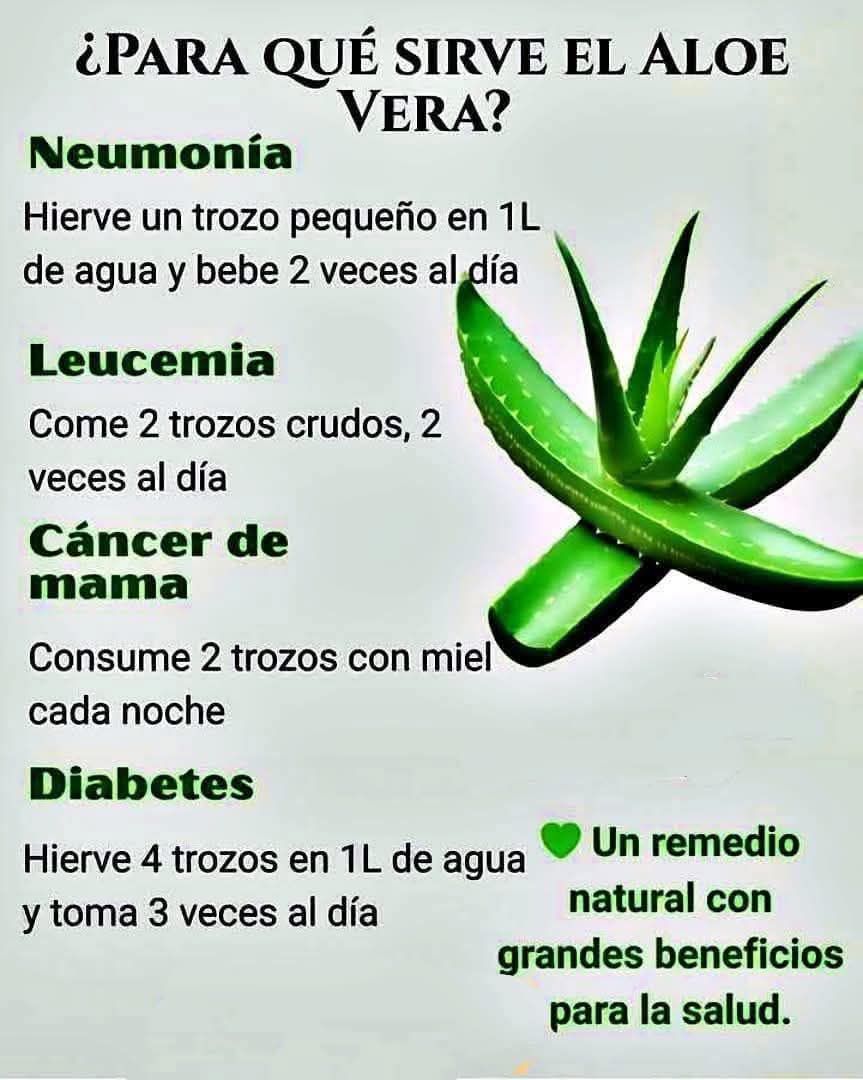 646872930 1474927564428251 2733722365044491269 n