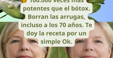 646873420 1482088533712154 6693730866637284802 n