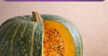 646936007 1492504655769572 6260161239504273074 n