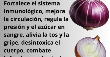 647038075 1476275264293481 3749776173413273085 n