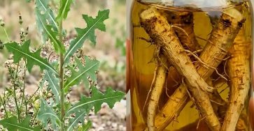 648667640 1493840368969334 6752891779949194108 n