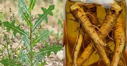 648667640 1493840368969334 6752891779949194108 n