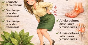 648955765 1494898925530145 1081939724660931053 n