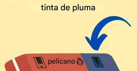 649175027 1639327957067302 5242430740988081901 n