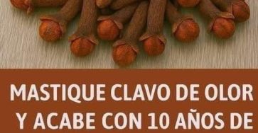 649195369 1482518507002490 7447271565630176357 n