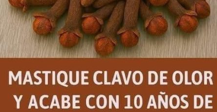 649195369 1482518507002490 7447271565630176357 n