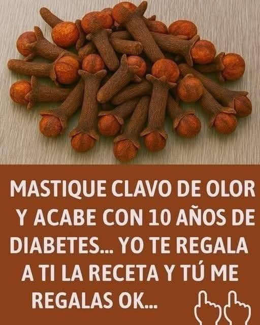 649195369 1482518507002490 7447271565630176357 n