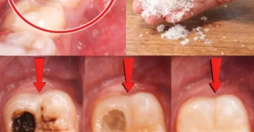 649337482 960213043357441 3546085498653270893 n 853x1024