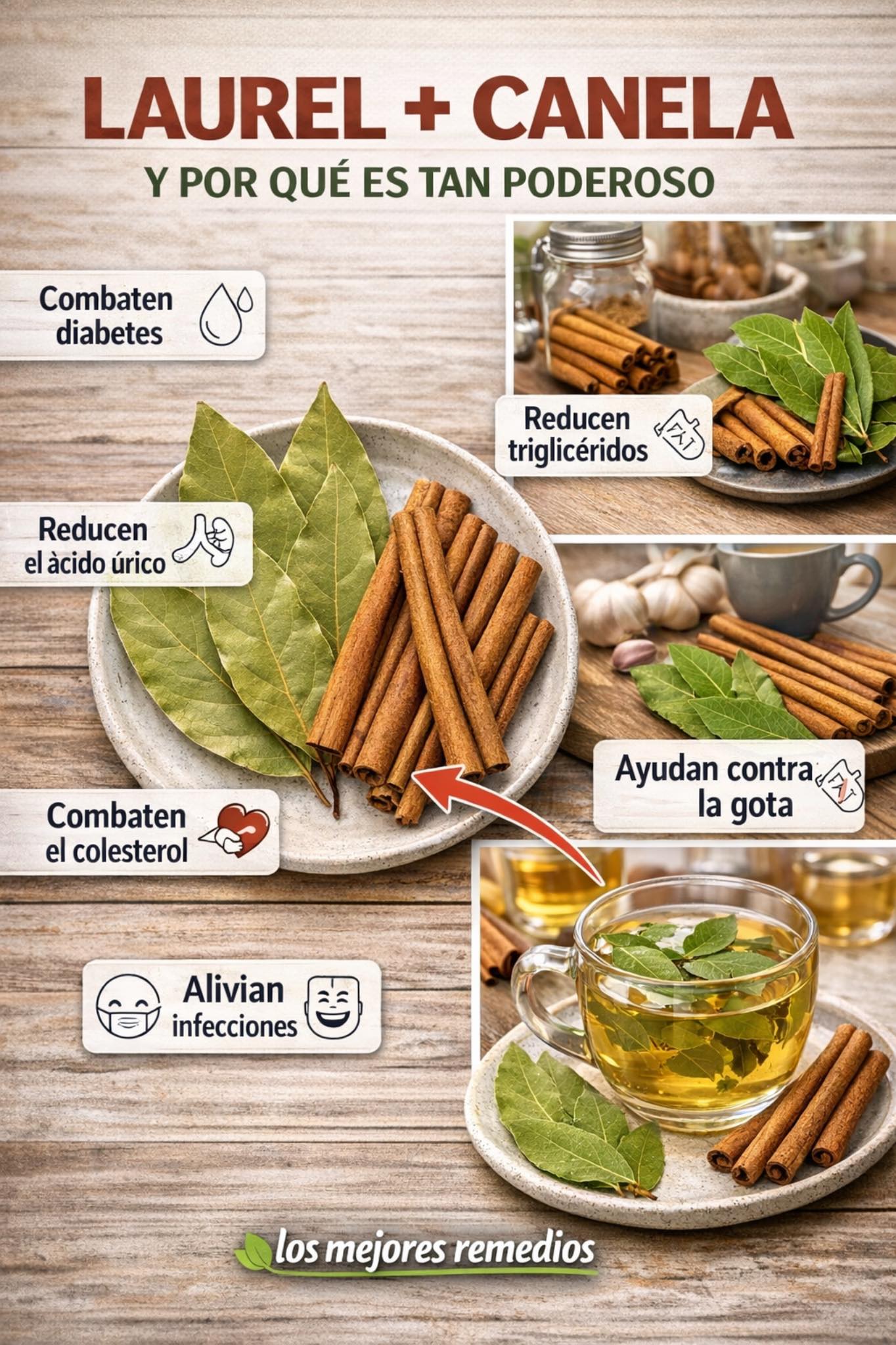 649392675 1495147895505248 7763519004931673427 n