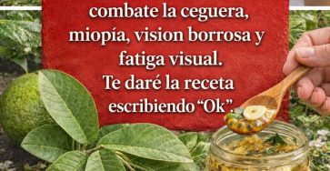 649653809 1494635918889779 1823565732898318956 n