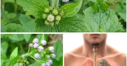 649829477 122256251954166565 1685253266360291630 n 819x1024