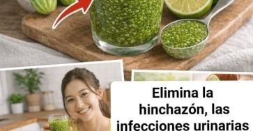 649893285 883905754645136 3871630543323205731 n