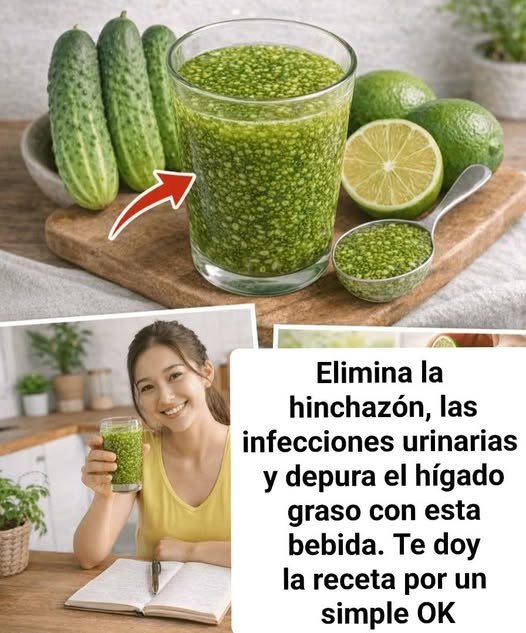 649893285 883905754645136 3871630543323205731 n