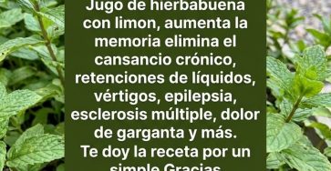 649916939 122155744154973955 8007912957159897170 n