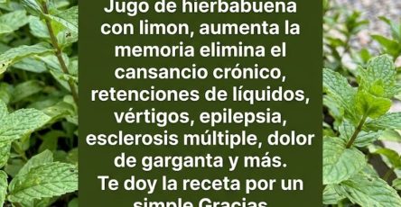 649916939 122155744154973955 8007912957159897170 n