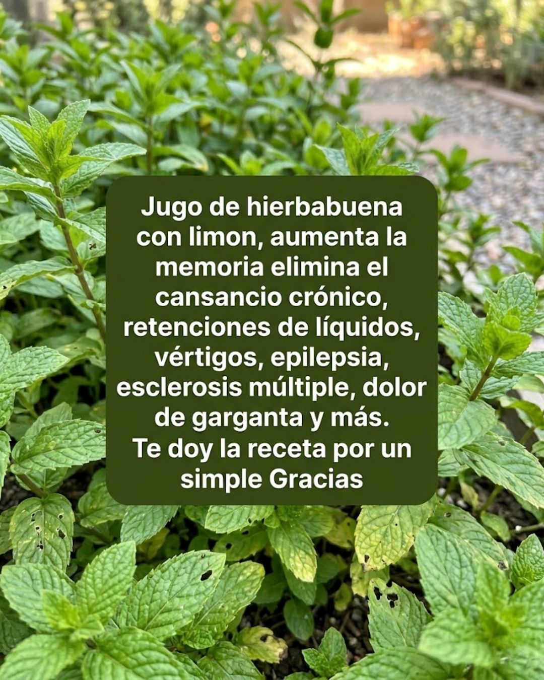 649916939 122155744154973955 8007912957159897170 n