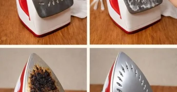 649976573 122293506446035578 1801019881675063476 n 683x1024