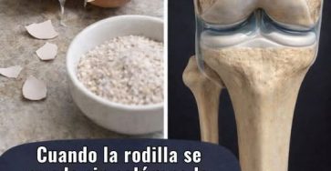 650083543 4610371919228678 165141901617619216 n