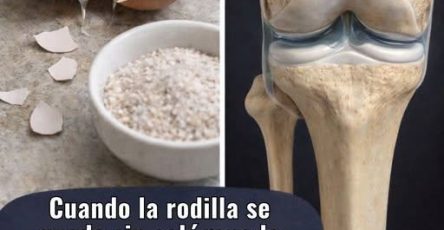 650083543 4610371919228678 165141901617619216 n