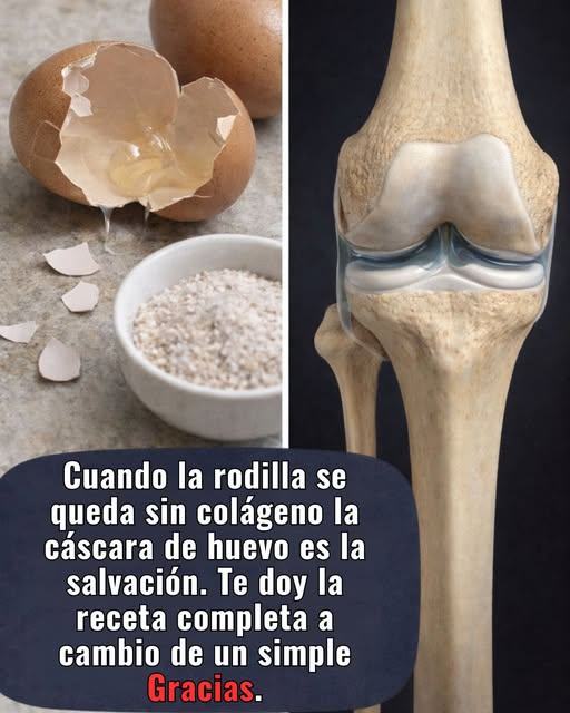 650083543 4610371919228678 165141901617619216 n