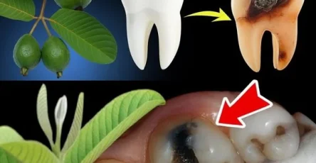 650114969 122145679802987349 8045535737234948225 n