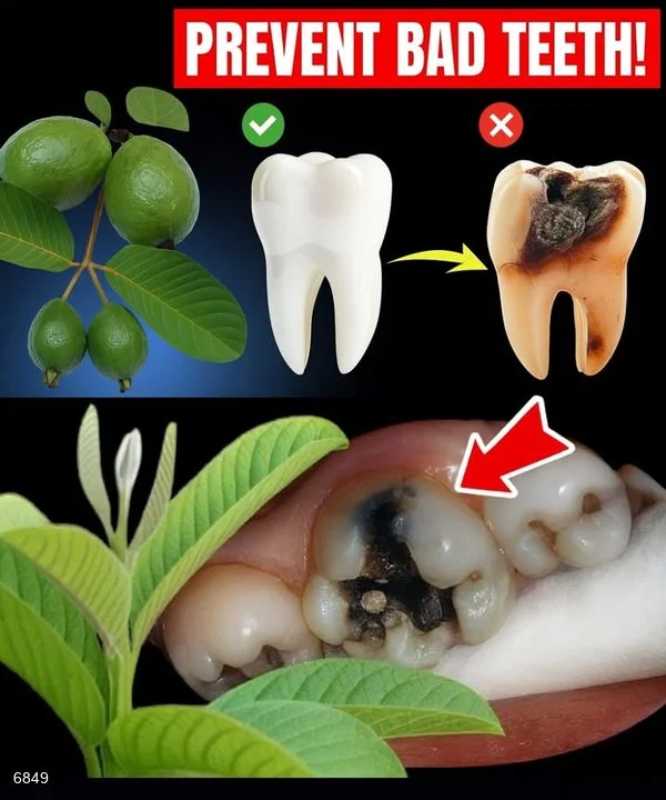 650114969 122145679802987349 8045535737234948225 n