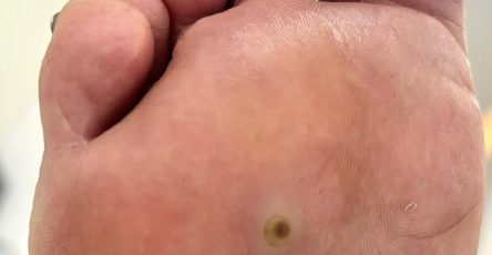 650968577 1487136196315251 2527462974650672972 n